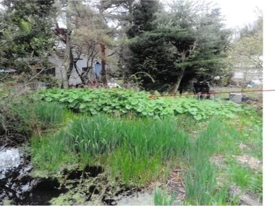 群馬県沼田市 戸建て 53万円の競売物件情報 #17