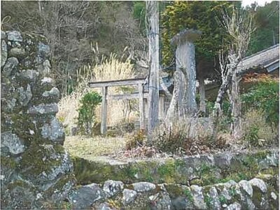 静岡県伊豆市 修善寺駅 戸建て 502万円の競売物件情報 #7