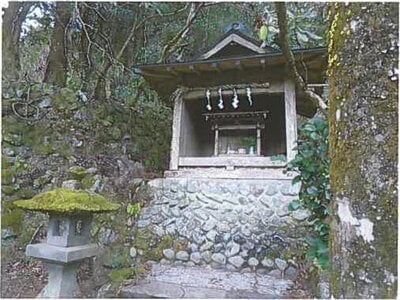 静岡県伊豆市 修善寺駅 戸建て 502万円の競売物件情報 #8