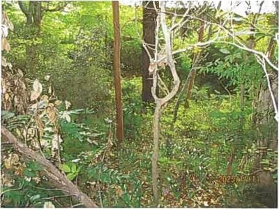 (値下げ) 静岡県伊東市 伊豆高原駅26分 戸建て 342万円の競売物件情報 #4