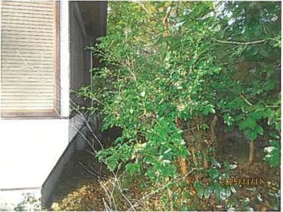 (値下げ) 静岡県伊東市 伊豆高原駅26分 戸建て 342万円の競売物件情報 #9