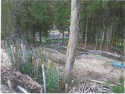 静岡県伊豆市 修善寺駅 戸建て 264万円の競売物件情報 #10
