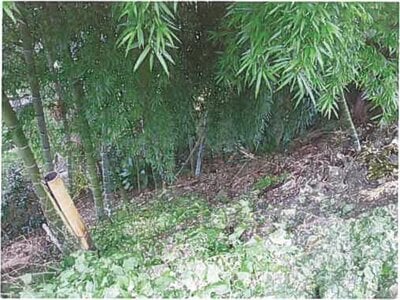 静岡県伊豆市 修善寺駅 戸建て 264万円の競売物件情報 #8