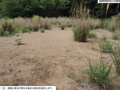 大分県由布市 南由布駅 土地 33万円の国税庁公売物件情報 #2