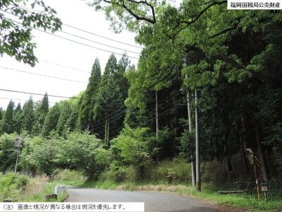 大分県由布市 南由布駅 土地 38万円の国税庁公売物件情報 #1