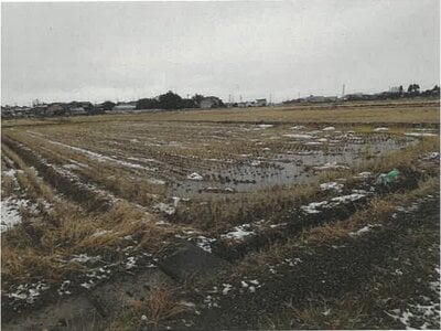 新潟県新潟市北区 早通駅 農地 14万円の競売物件情報 #1