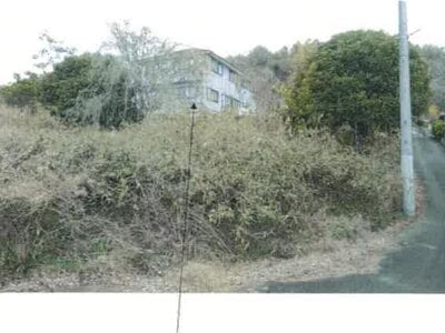 兵庫県川辺郡猪名川町 日生中央駅 土地 302万円の競売物件情報 #1