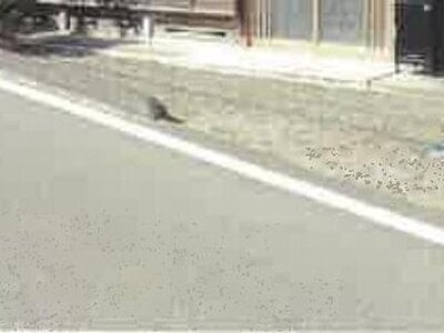 (値下げ) 兵庫県丹波市 船町口駅 戸建て 105万円の競売物件情報 #2