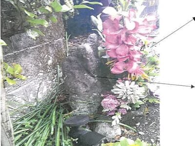 鹿児島県霧島市 加治木駅26分 戸建て 26万円の競売物件情報 #6