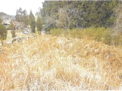 京都府京都市右京区 日吉駅 戸建て 392万円の競売物件情報 #2