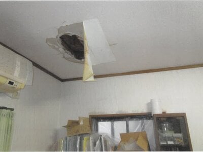 京都府京都市南区 上鳥羽口駅15分 戸建て 386万円の競売物件情報 #3
