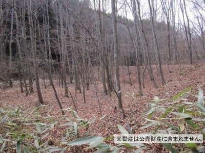 福島県双葉郡川内村 土地 10万円の国税庁公売物件情報 #1