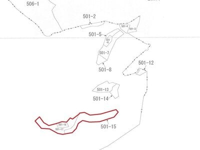 福島県双葉郡川内村 土地 10万円の国税庁公売物件情報 #3