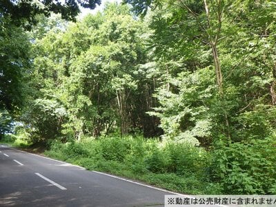 (値下げ) 長野県佐久市 滋野駅 土地 35万円の国税庁公売物件情報 #1