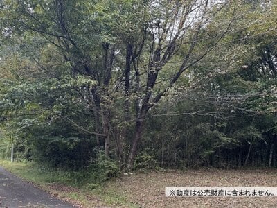(値下げ) 栃木県日光市 明神駅23分 土地 39万円の国税庁公売物件情報 #1
