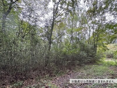(値下げ) 栃木県日光市 明神駅23分 土地 39万円の国税庁公売物件情報 #2