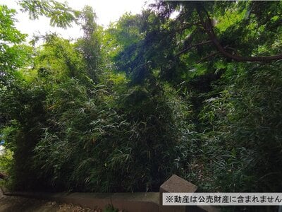 (値下げ) 神奈川県鎌倉市 富士見町駅6分 土地 50万円の国税庁公売物件情報 #1