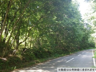 (値下げ) 長野県佐久市 滋野駅 土地 50万円の国税庁公売物件情報 #1