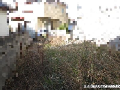 千葉県市川市 矢切駅15分 土地 140万円の国税庁公売物件情報 #1