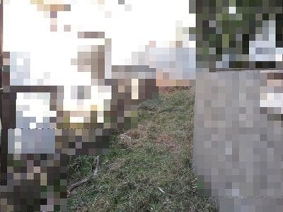 千葉県市川市 矢切駅15分 土地 140万円の国税庁公売物件情報 #2