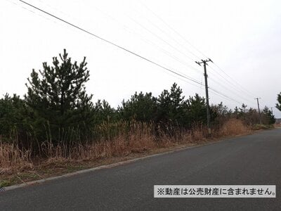 青森県上北郡六ヶ所村 土地 640万円の国税庁公売物件情報 #1