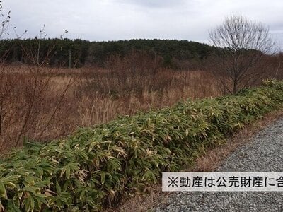 青森県上北郡六ヶ所村 土地 640万円の国税庁公売物件情報 #2