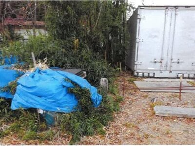 埼玉県本庄市 本庄駅 戸建て 418万円の競売物件情報 #8