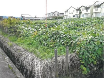 富山県富山市 開発駅 農地 116万円の競売物件情報 #1