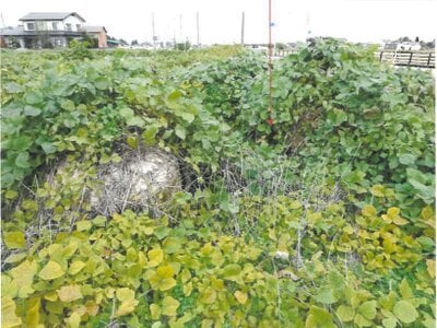 富山県富山市 開発駅 農地 116万円の競売物件情報 #4