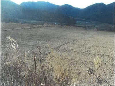 長野県南佐久郡川上村 信濃川上駅 農地 145万円の競売物件情報 #1