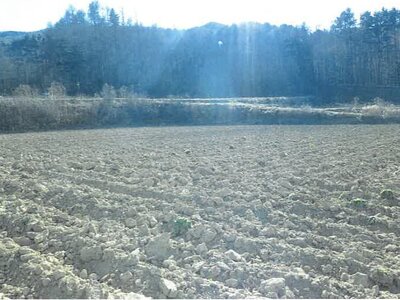 長野県南佐久郡川上村 信濃川上駅 農地 131万円の競売物件情報 #10