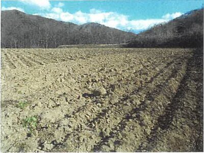 長野県南佐久郡川上村 信濃川上駅 農地 131万円の競売物件情報 #3