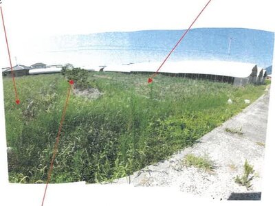 香川県善通寺市 金蔵寺駅24分 農地 130万円の競売物件情報 #3