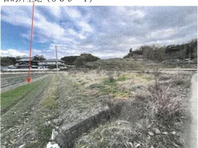 香川県綾歌郡綾川町 羽床駅23分 農地 144万円の競売物件情報 #6