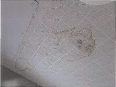 (値下げ) 大分県臼杵市 上臼杵駅5分 戸建て 64万円の競売物件情報 #16