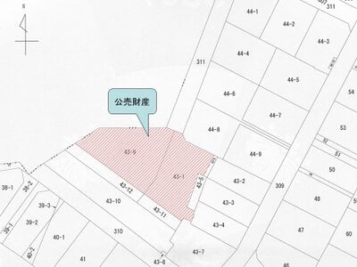 (値下げ) 大阪府富田林市 大阪狭山市駅15分 土地 96万円の国税庁公売物件情報 #3