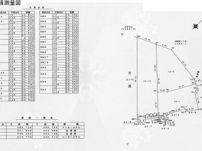 (値下げ) 大阪府富田林市 大阪狭山市駅15分 土地 96万円の国税庁公売物件情報 #4