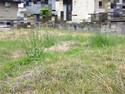 奈良県吉野郡大淀町 六田駅12分 土地 116万円の国税庁公売物件情報 #2