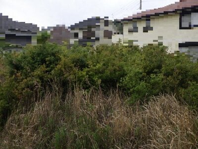 兵庫県南あわじ市 土地 370万円の国税庁公売物件情報 #2