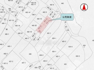 兵庫県南あわじ市 土地 370万円の国税庁公売物件情報 #8