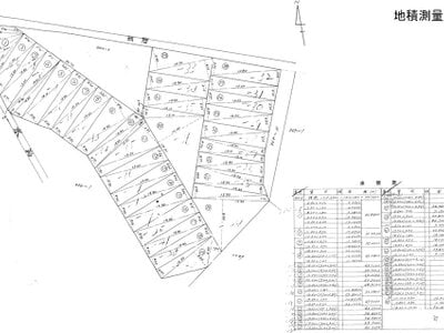 大阪府大東市 野崎駅14分 土地 683万円の国税庁公売物件情報 #3