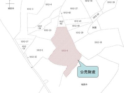 兵庫県加東市 社町駅24分 土地 1,463万円の国税庁公売物件情報 #3