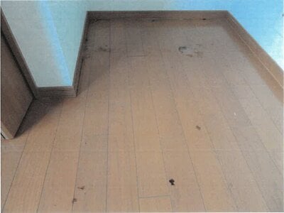 大阪府高槻市 摂津富田駅9分 戸建て 2,200万円の競売物件情報 #14