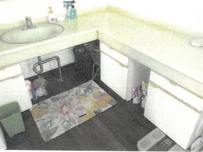 (値下げ) 大阪府豊能郡豊能町 妙見口駅 戸建て 403万円の競売物件情報 #10