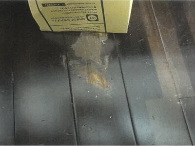沖縄県宜野湾市 てだこ浦西駅25分 マンション「ミルコマンション真栄原スカイルーク」3,390万円の競売物件情報 #9