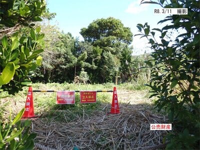 (値下げ) 鹿児島県大島郡龍郷町 土地 148万円の官公庁公売物件情報 #8