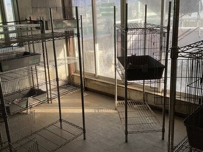 (値下げ) 山梨県笛吹市 南甲府駅 戸建て 136万円の官公庁公売物件情報 #12