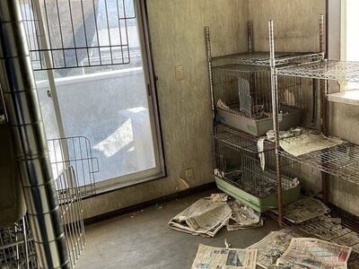 (値下げ) 山梨県笛吹市 南甲府駅 戸建て 136万円の官公庁公売物件情報 #14