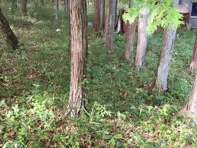 (値下げ) 山梨県北杜市 日野春駅 土地 91万円の官公庁公売物件情報 #5