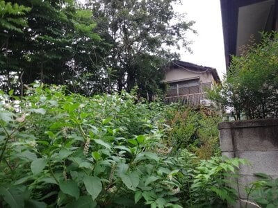 (値下げ) 群馬県伊勢崎市 新伊勢崎駅6分 戸建て 594万円の官公庁公売物件情報 #1